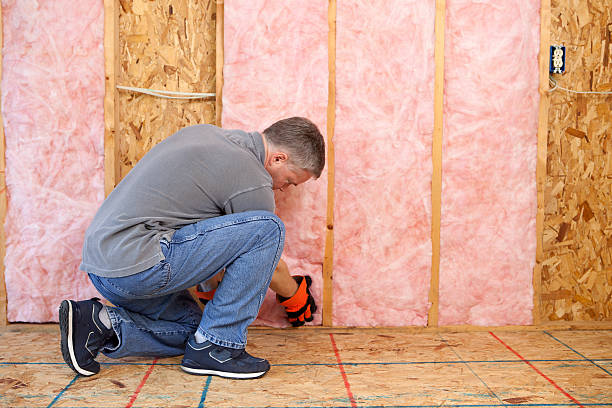 Best Insulation for Specific Applications in Natalbany, LA