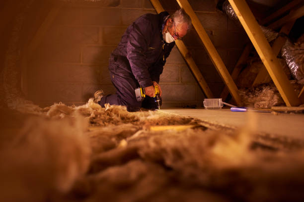 Best Insulation Materials and Products in Natalbany, LA